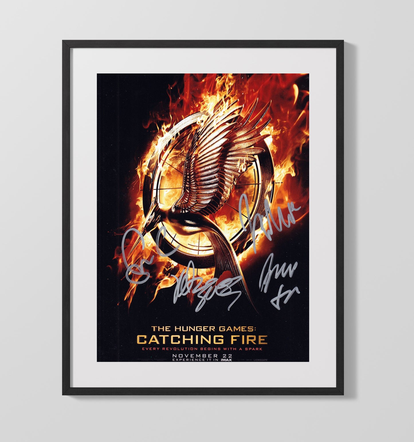 The Hunger Games Catching Fire - Katniss Everdeen Mockingjay Symbol Poster Art Vintage Movie Wall Art - 16x20 Gallery Frame movie decor