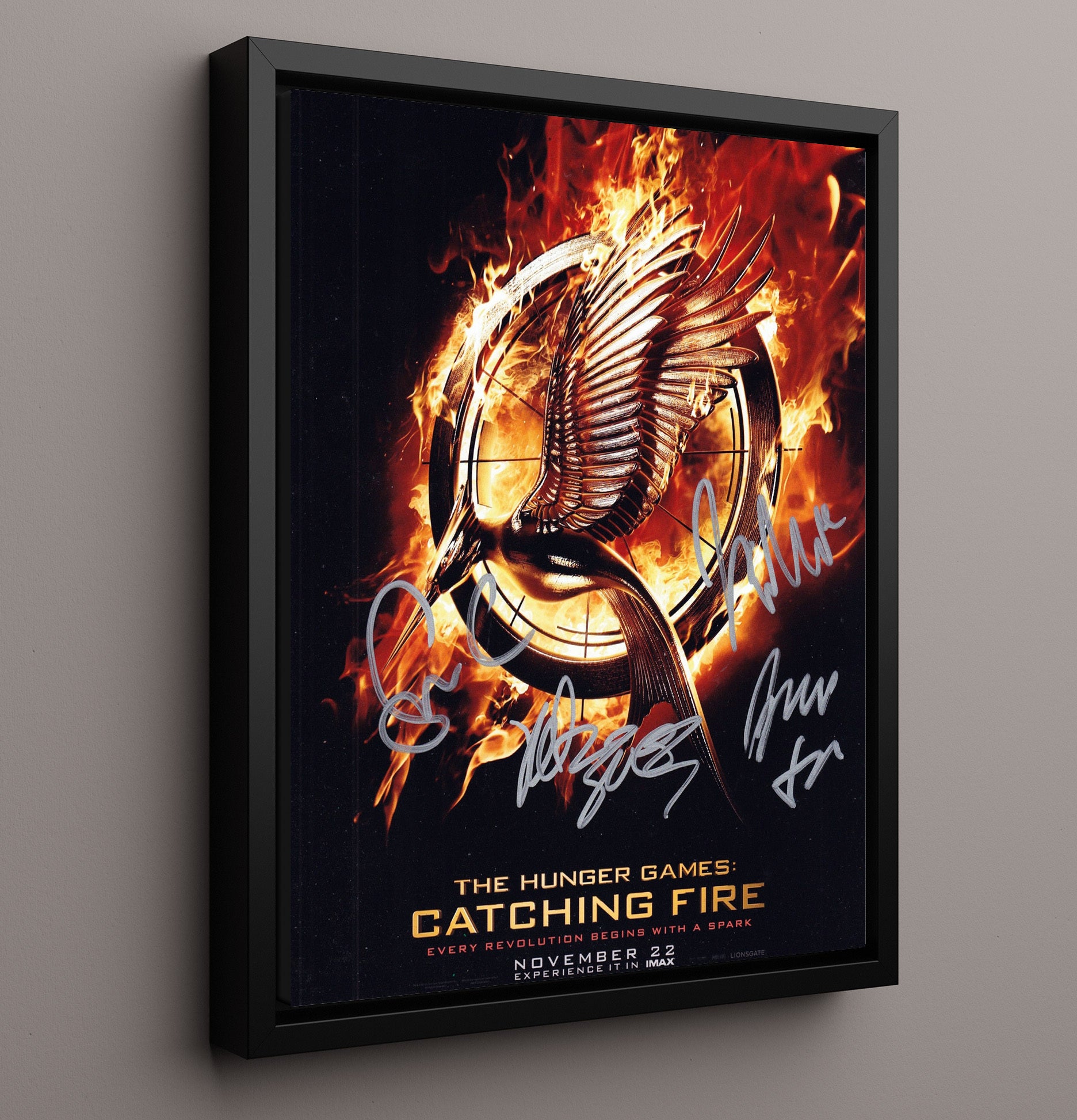 The Hunger Games Catching Fire - Katniss Everdeen Mockingjay Symbol Poster Art Vintage Movie Wall Art - 16x20 Framed Canvas movie decor