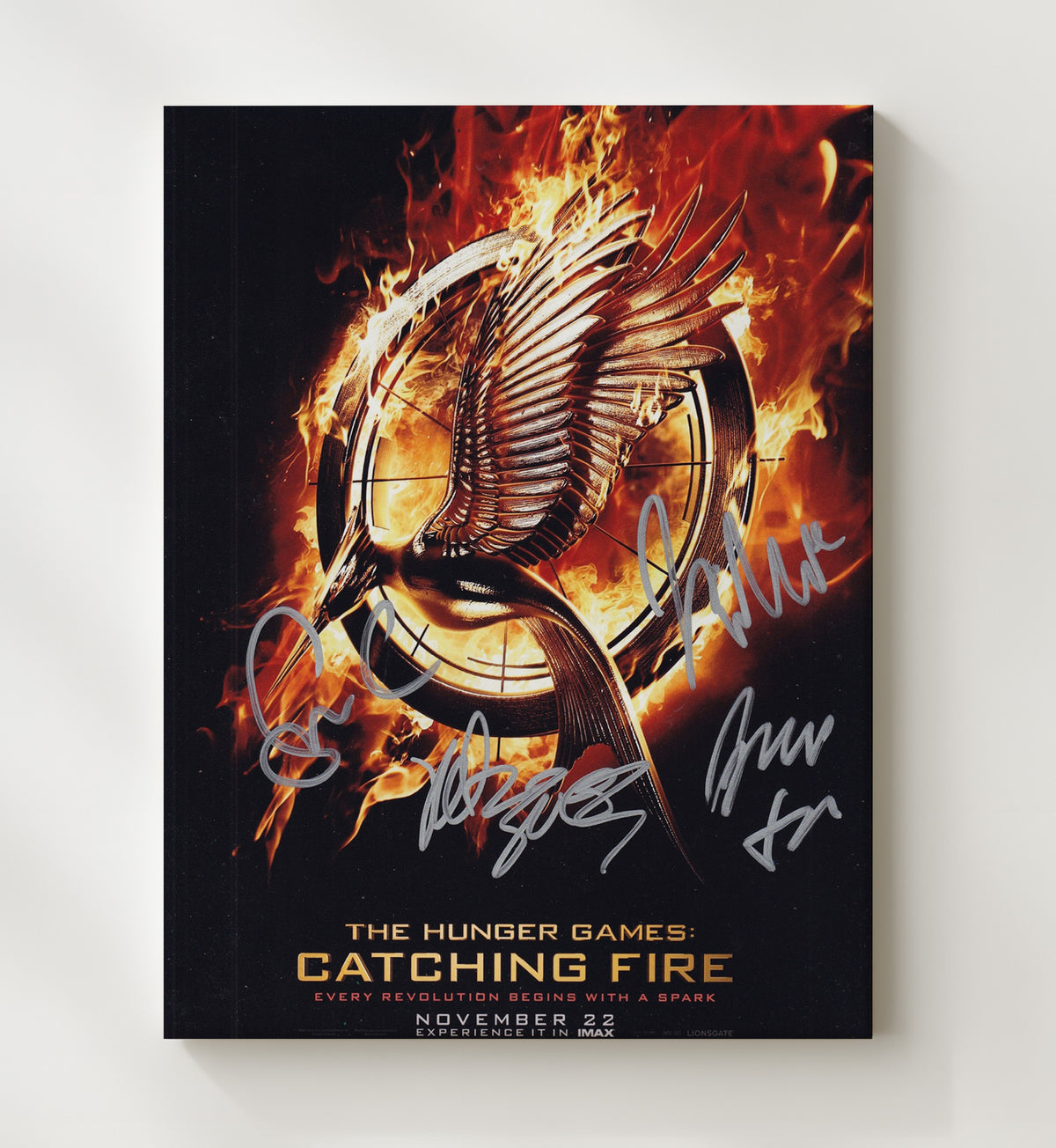 The Hunger Games Catching Fire - Katniss Everdeen Mockingjay Symbol Poster Art movie wall art 20x24 Canvas
