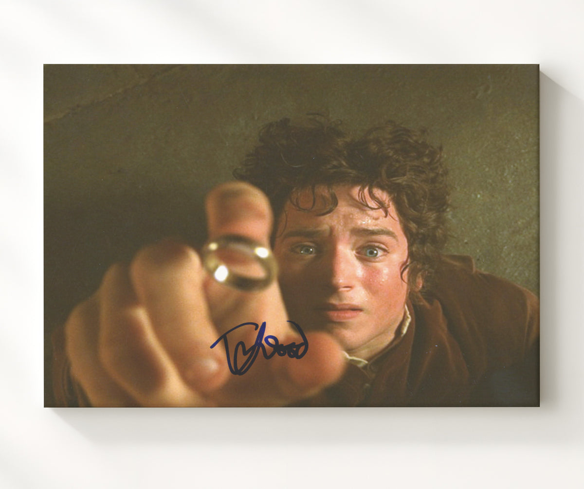The Lord of the Rings - Elijah Wood - Frodo Baggins - Ring burden realization movie wall art 20x24 Canvas