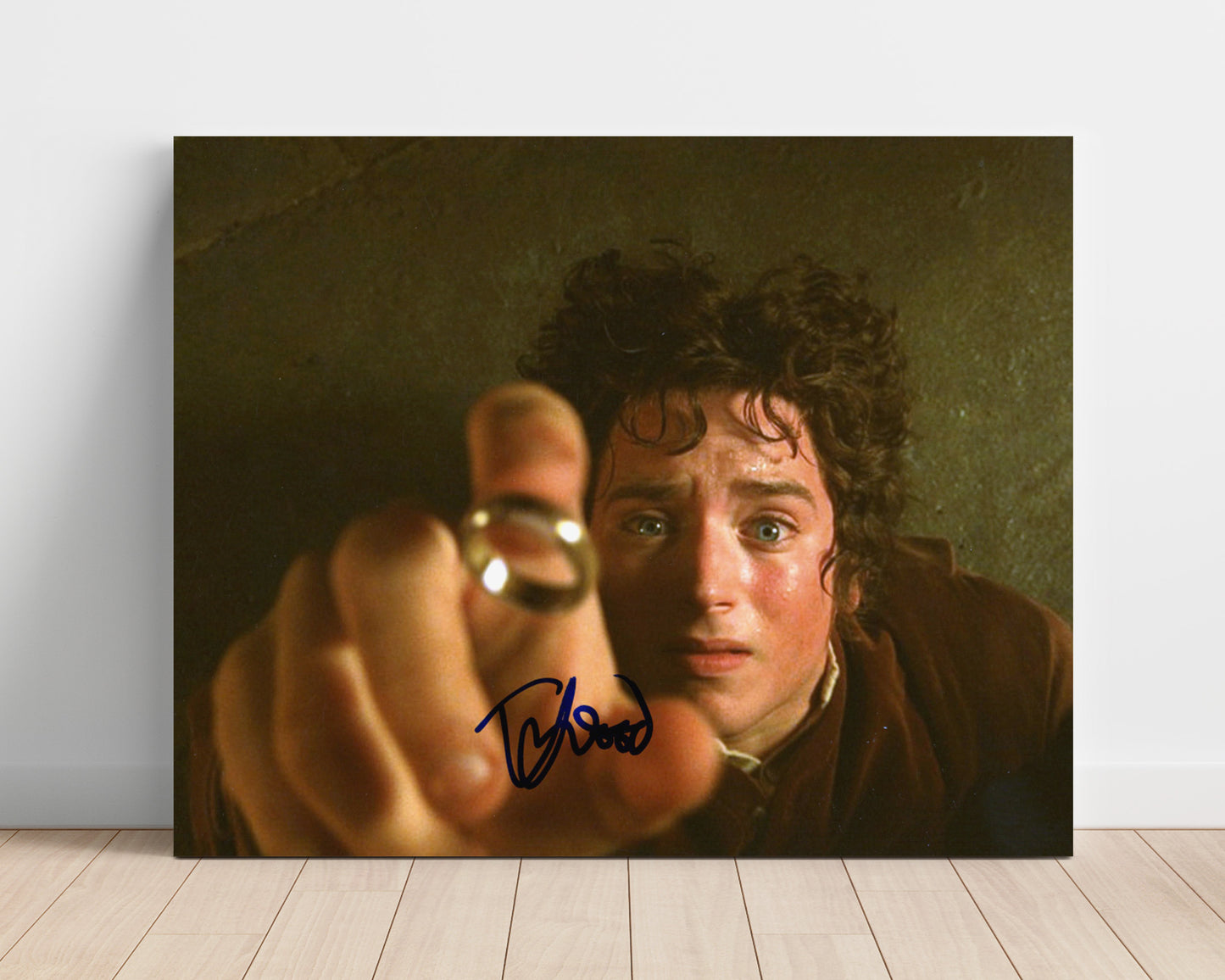 The Lord of the Rings - Elijah Wood - Frodo Baggins - Ring burden realization movie wall art 16x20 Unframed Print