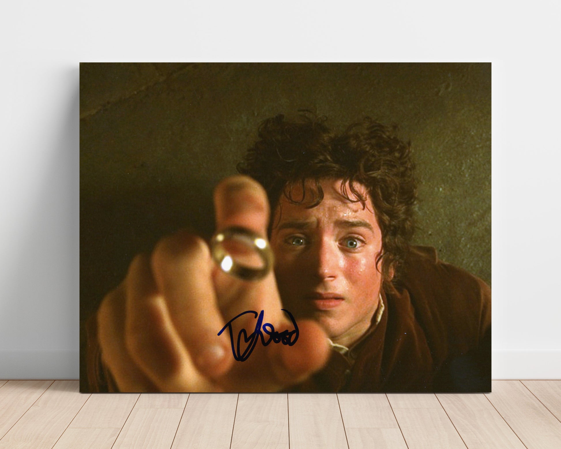The Lord of the Rings - Elijah Wood - Frodo Baggins - Ring burden realization movie wall art 16x20 Unframed Print