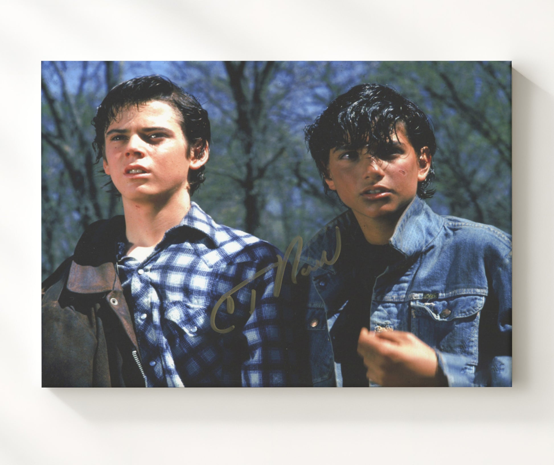 The Outsiders - C. Thomas Howell and Ralph Macchio - Stay gold Vintage Movie Wall Art - 20x24 Canvas movie decor