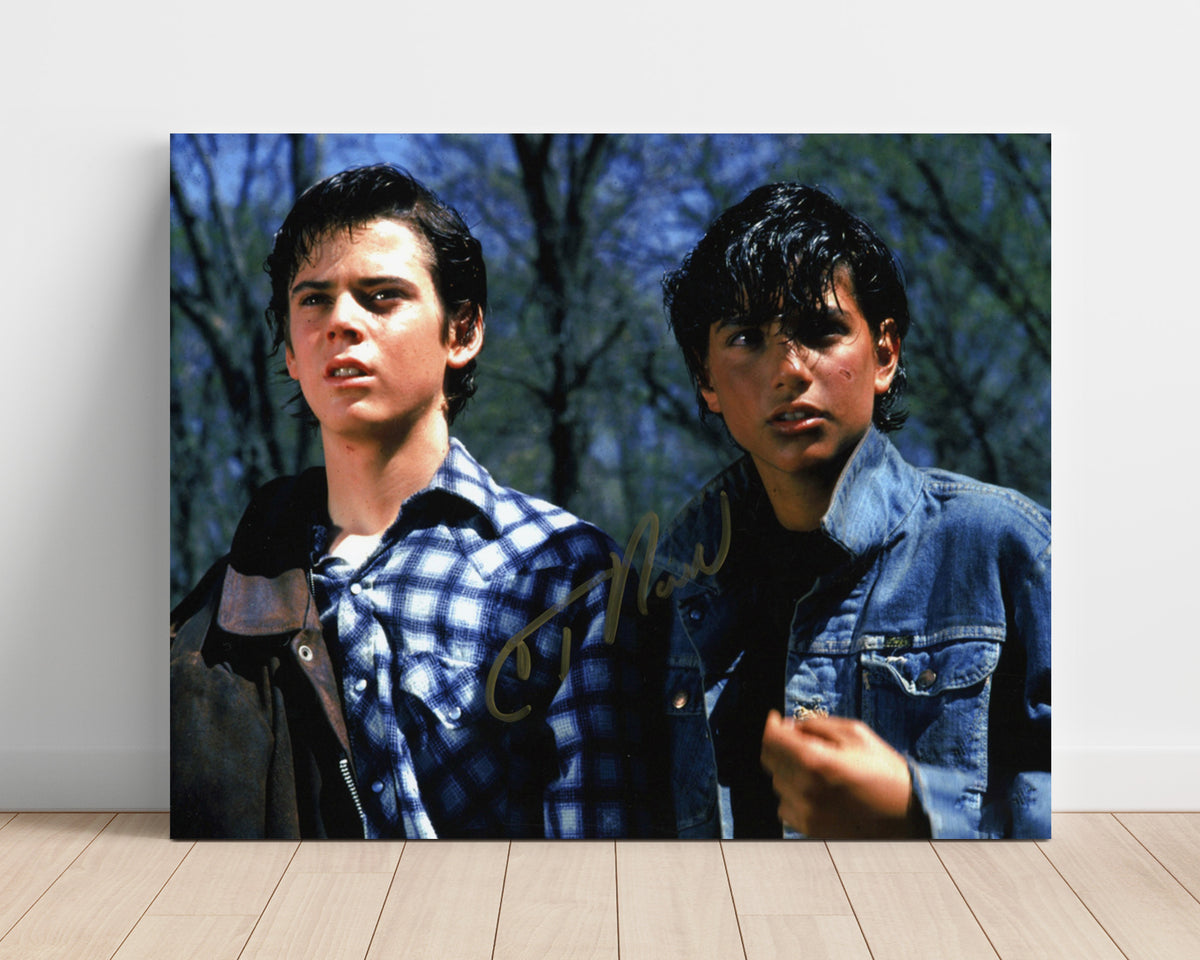 The Outsiders - C. Thomas Howell and Ralph Macchio - Stay gold movie wall art 16x20 Unframed Print