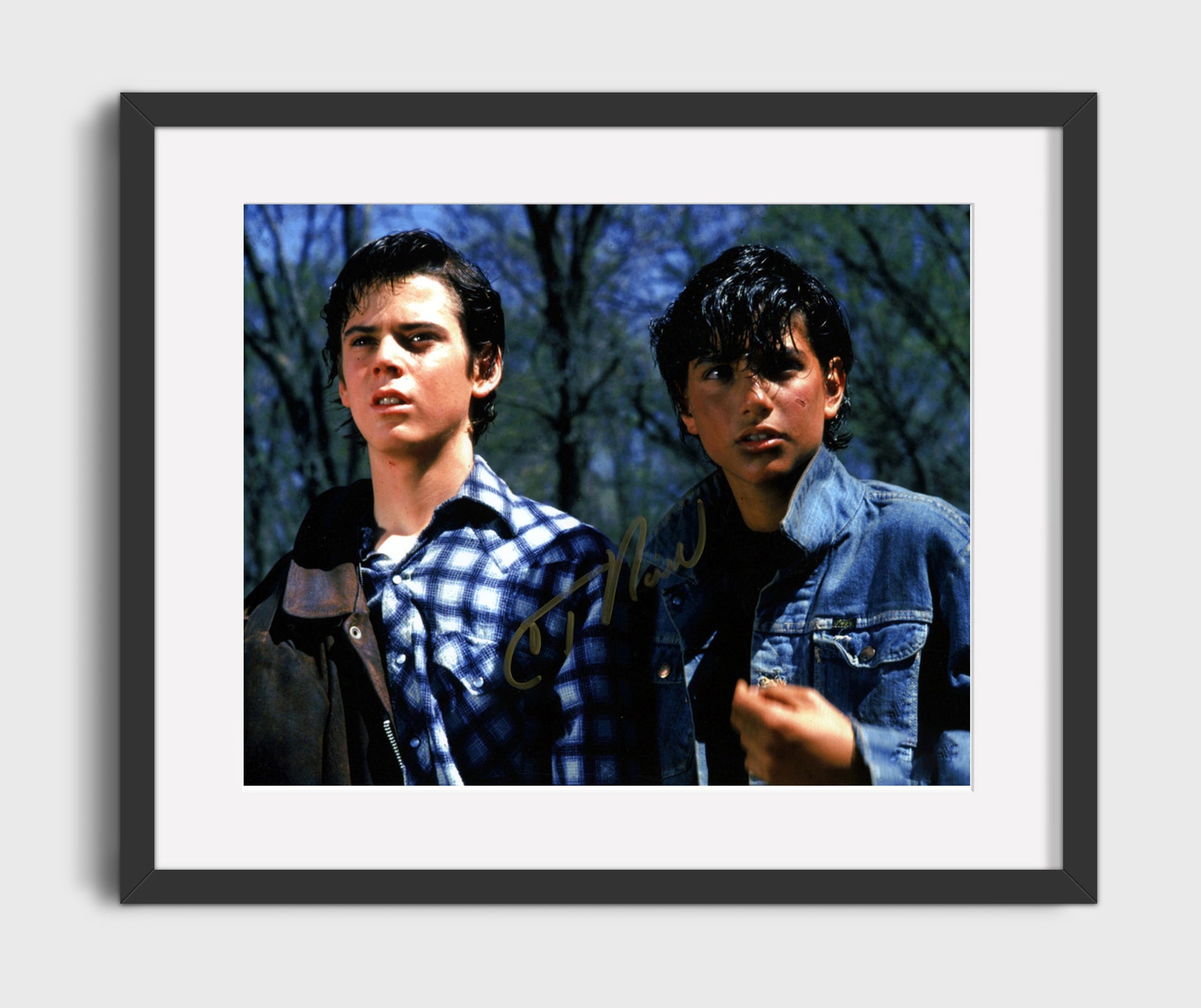The Outsiders - C. Thomas Howell and Ralph Macchio - Stay gold movie wall art 16x20 Gallery Frame