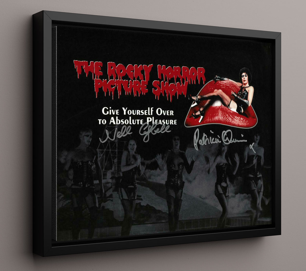 The Rocky Horror Picture Show - Nell Campbell - Columbia - and Patricia Quinn - Magenta - Cult stage energy movie wall art 16x20 Framed Canvas