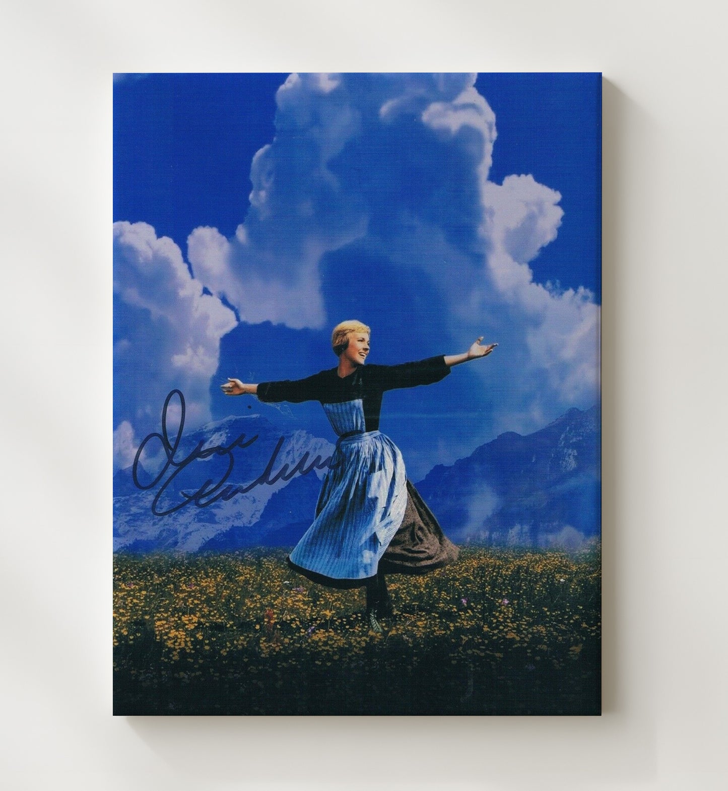 The Sound of Music - Julie Andrews - Maria - Hills Are Alive movie wall art 20x24 Canvas