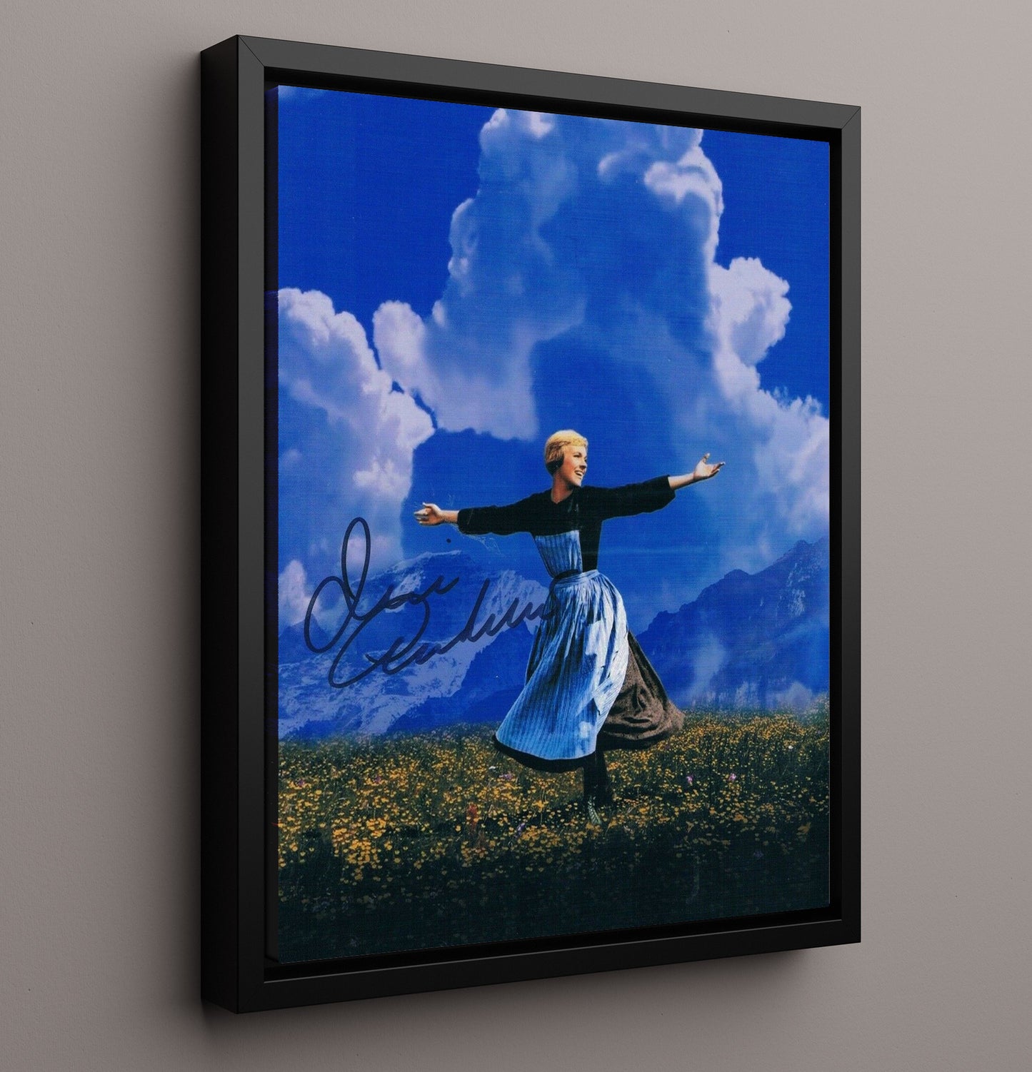 The Sound of Music - Julie Andrews - Maria - Hills Are Alive movie wall art 16x20 Framed Canvas