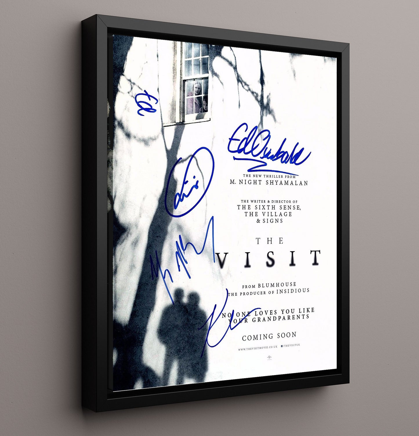 The Visit - Ensemble Cast Grandparent Horror Reveal movie wall art 16x20 Framed Canvas