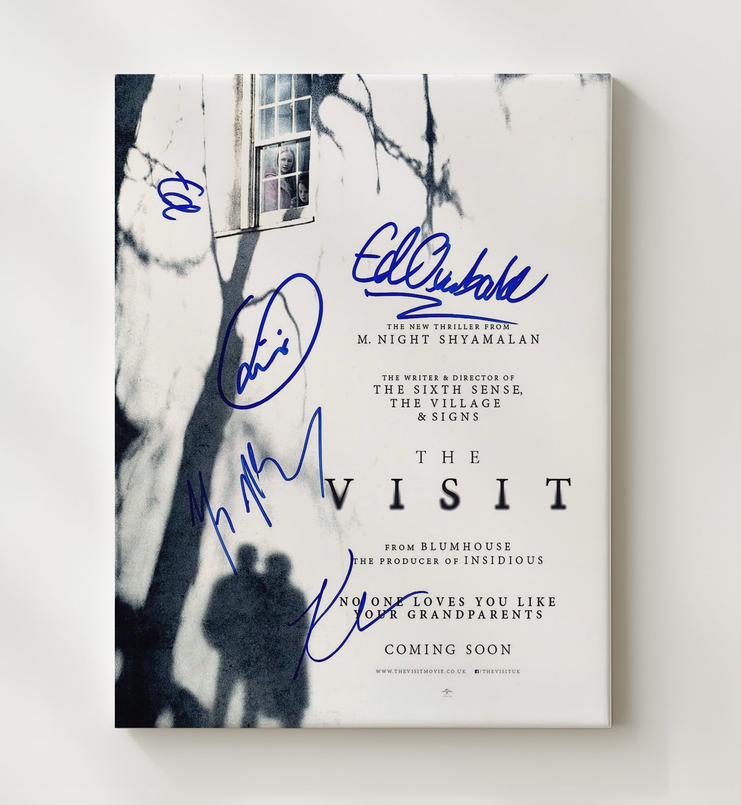 The Visit - Ensemble Cast Grandparent Horror Reveal movie wall art 20x24 Canvas