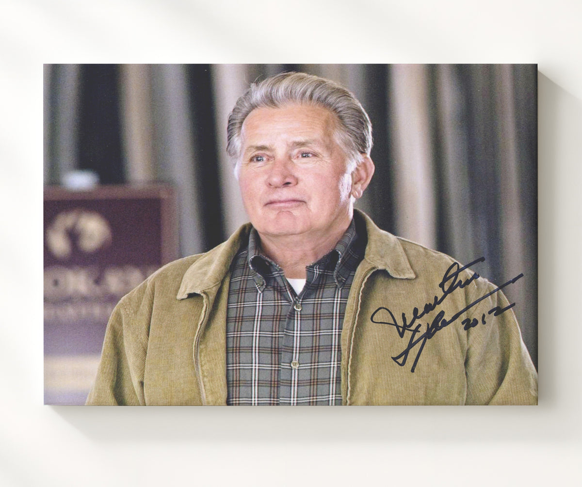 The West Wing - Martin Sheen - Jed Bartlet - Presidential resolve quiet authority movie wall art 20x24 Canvas