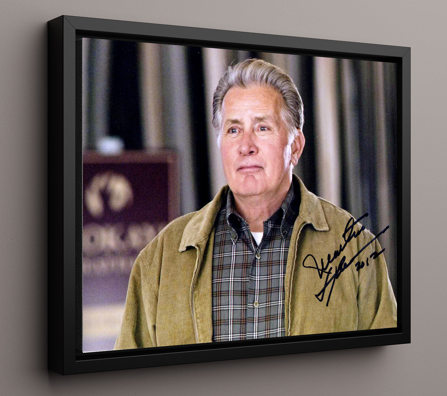 The West Wing - Martin Sheen - Jed Bartlet - Presidential resolve quiet authority movie wall art 16x20 Framed Canvas