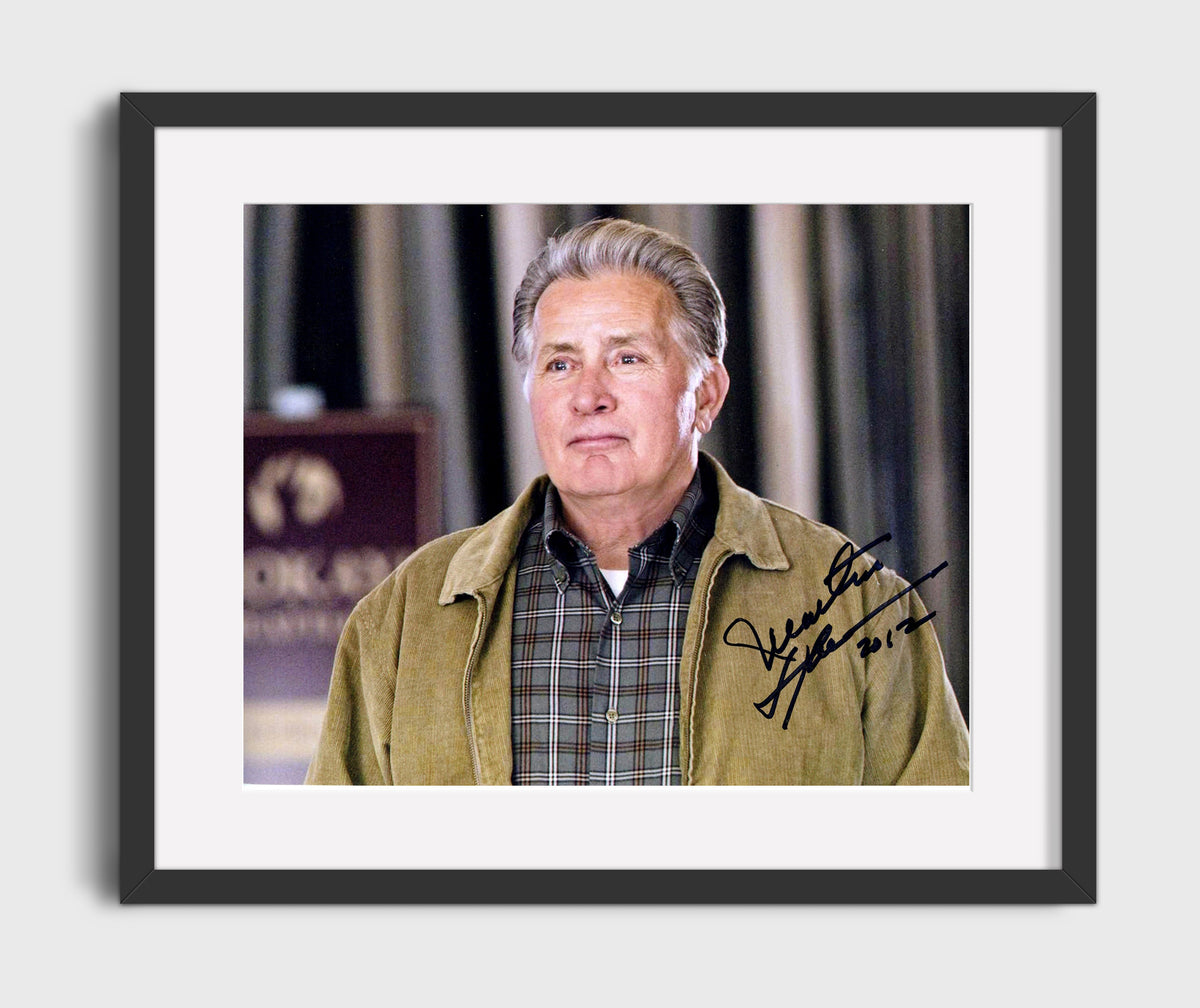The West Wing - Martin Sheen - Jed Bartlet - Presidential resolve quiet authority movie wall art 16x20 Gallery Frame