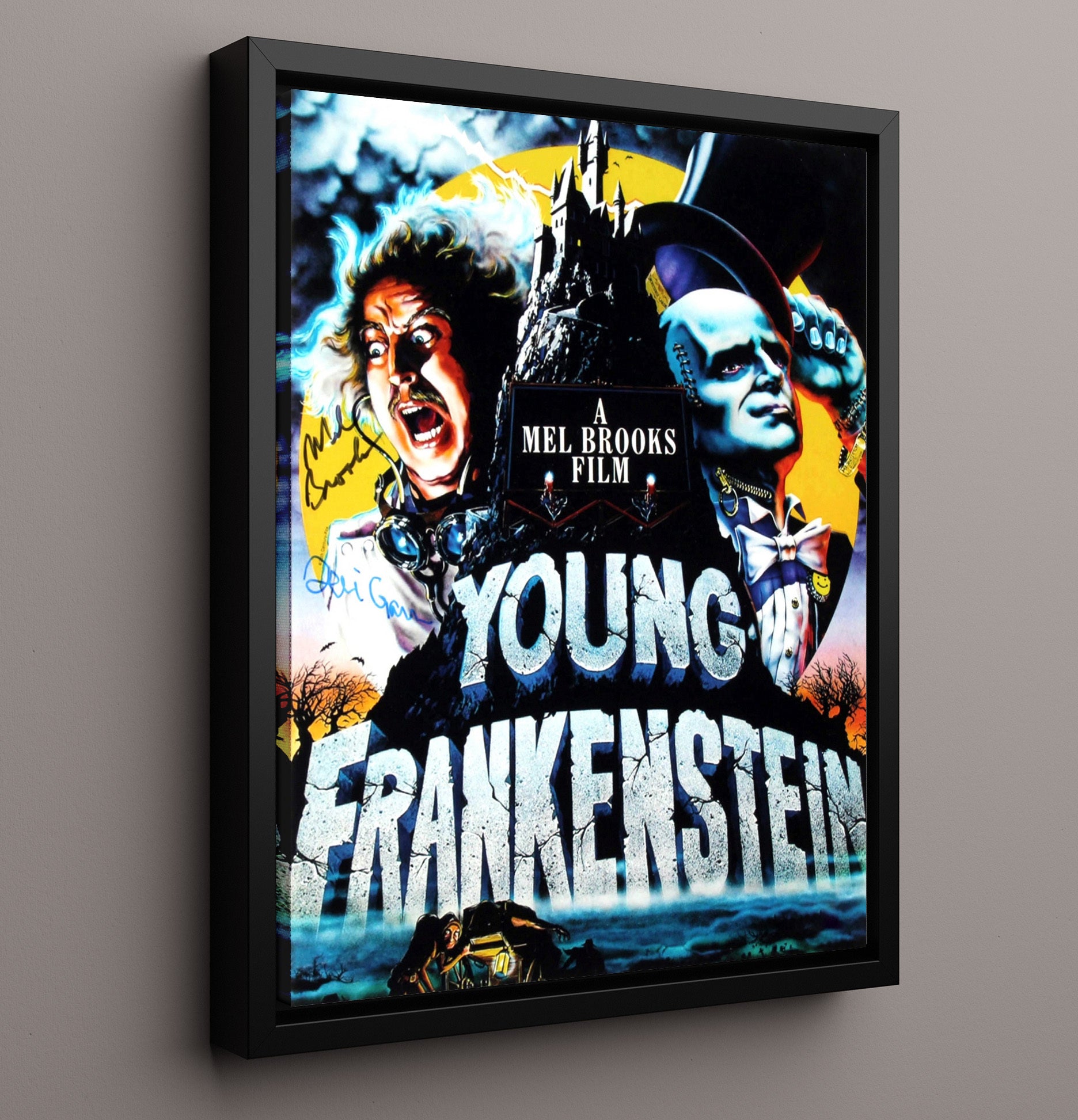 Young Frankenstein - Mel Brooks Teri Garr Mad Lab Comedy Chaos movie wall art 16x20 Framed Canvas