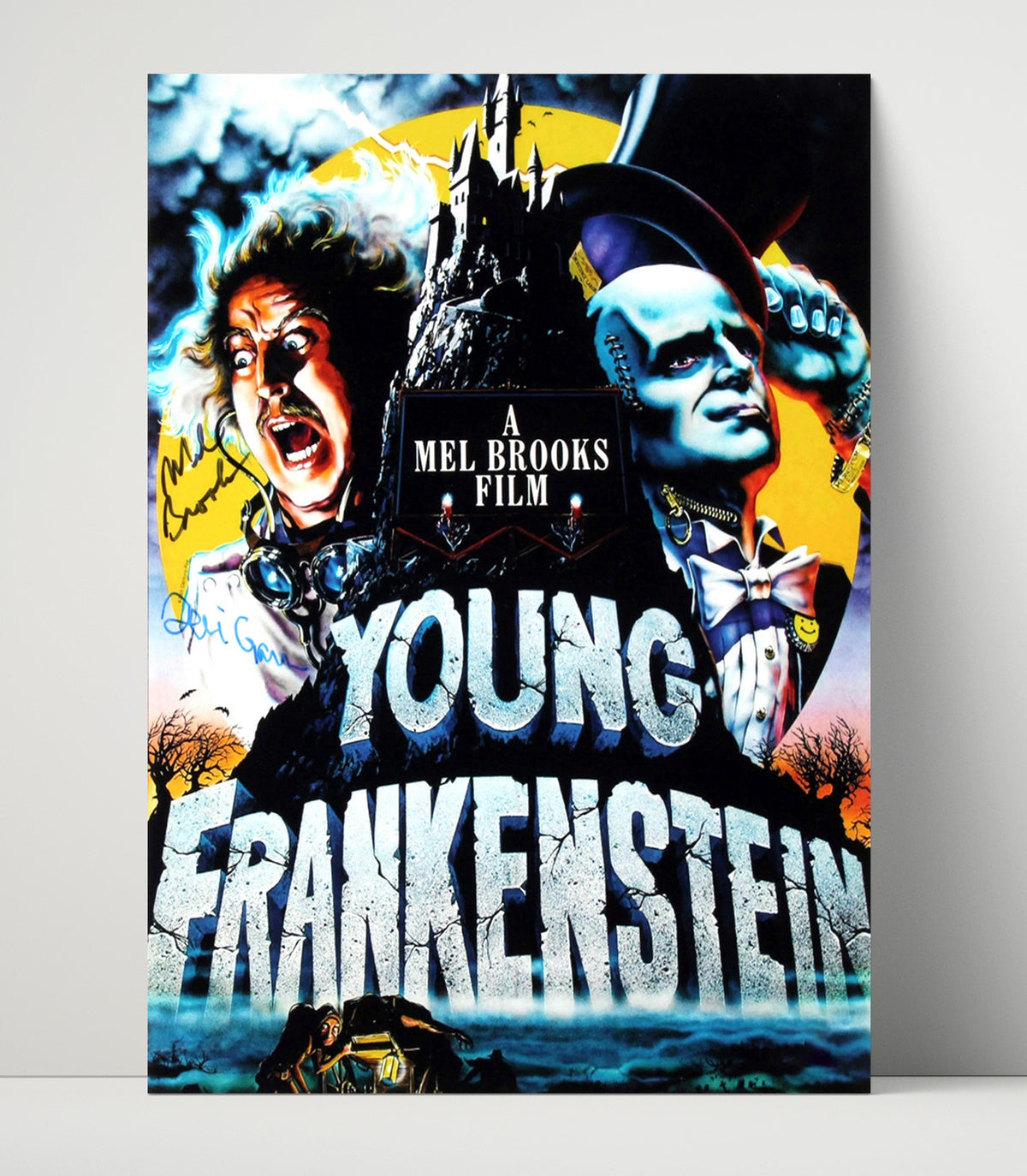 Young Frankenstein - Mel Brooks Teri Garr Mad Lab Comedy Chaos movie wall art 16x20 Unframed Print