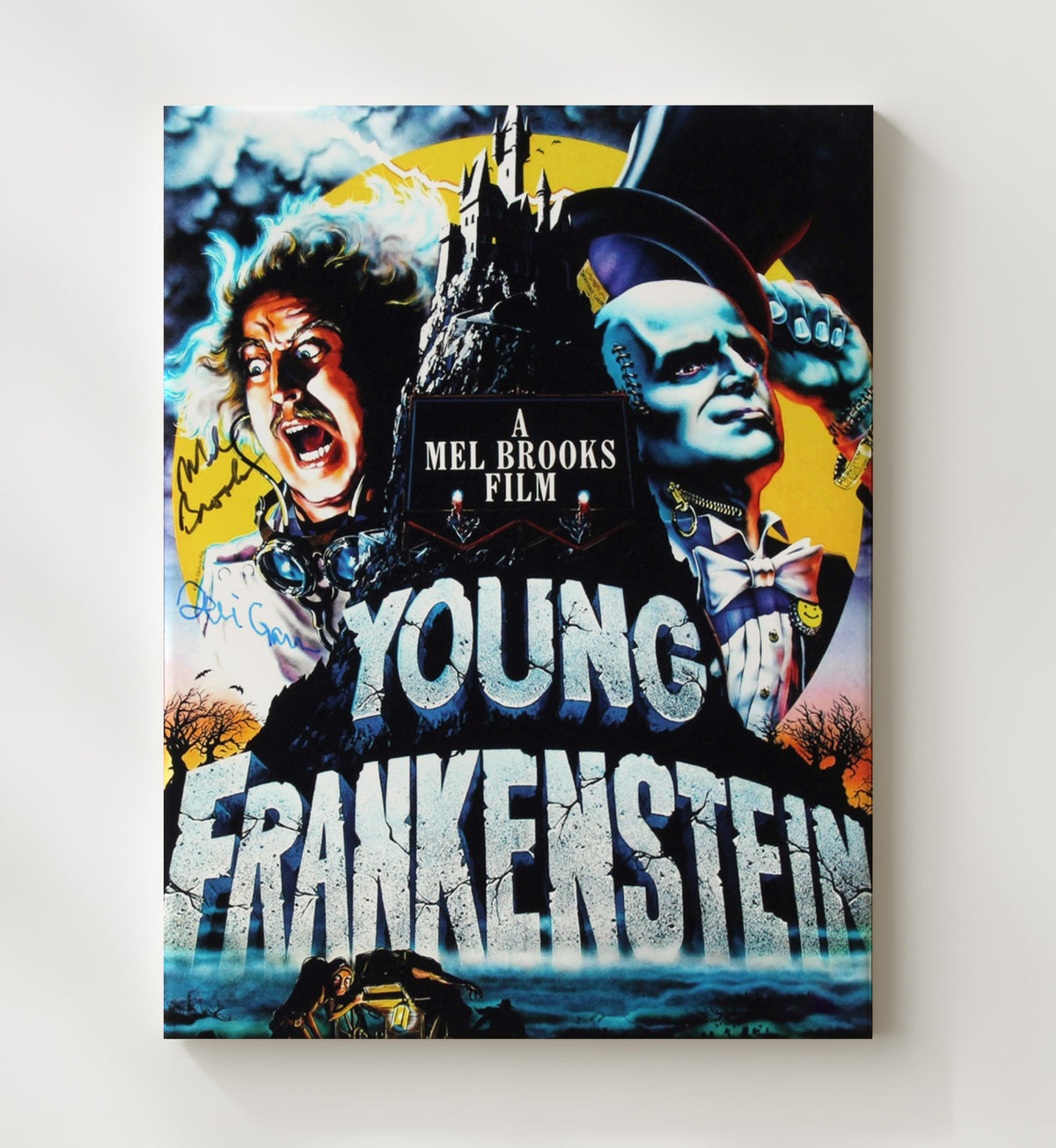 Young Frankenstein - Mel Brooks Teri Garr Mad Lab Comedy Chaos movie wall art 20x24 Canvas