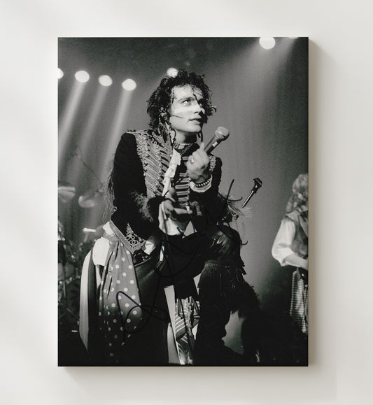 Adam Ant - Live On Stage Singing Black-and-White 16x20 Gallery Frame vintage music wall art