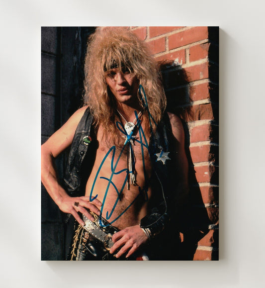 Bret Michaels - Poison Bandana Brick Wall Photo 16x20 Gallery Frame vintage music wall art