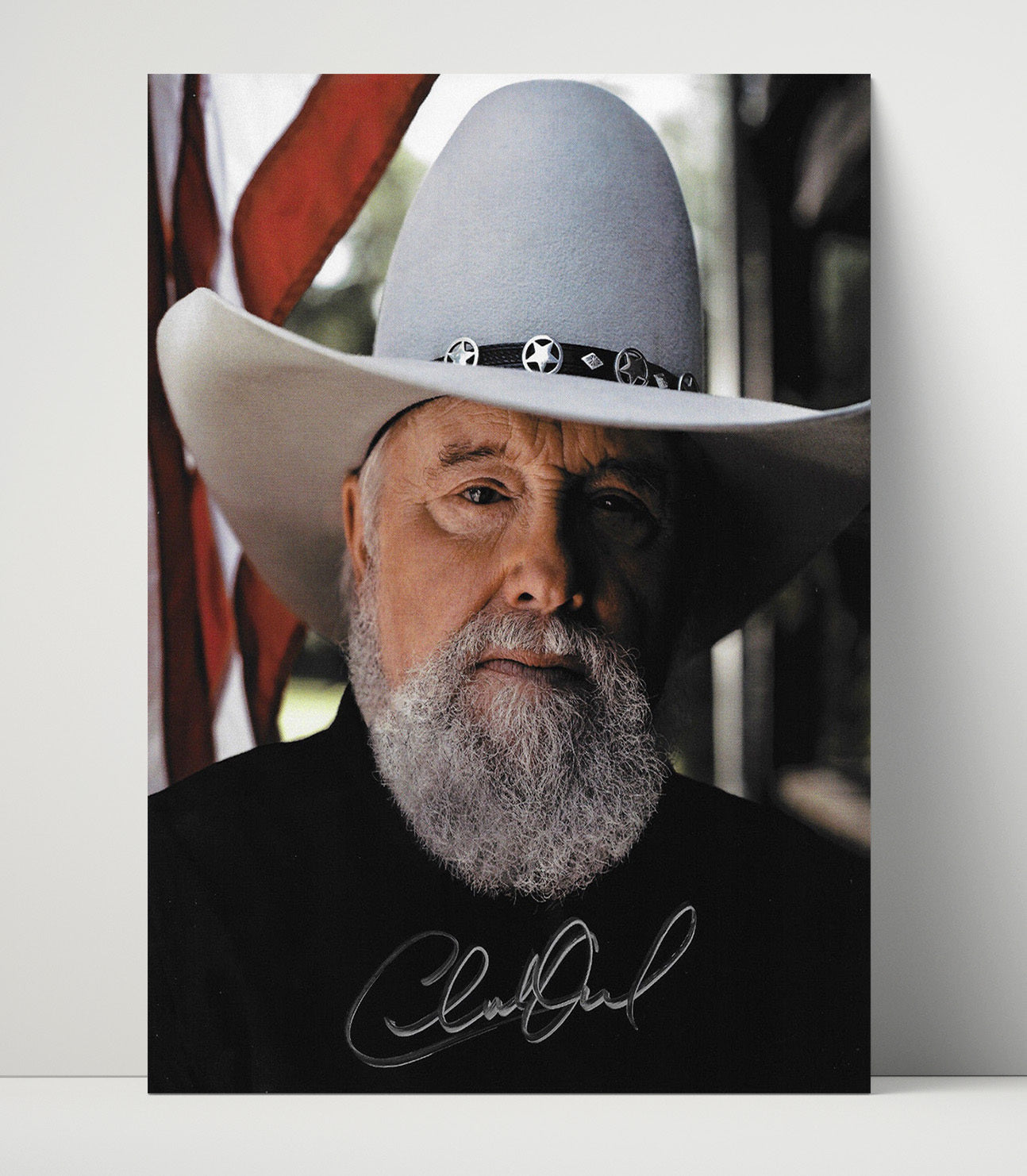 Charlie Daniels - Cowboy Hat American Flag Portrait - Vintage Music Wall Art - 16x20 Unframed Print music decor