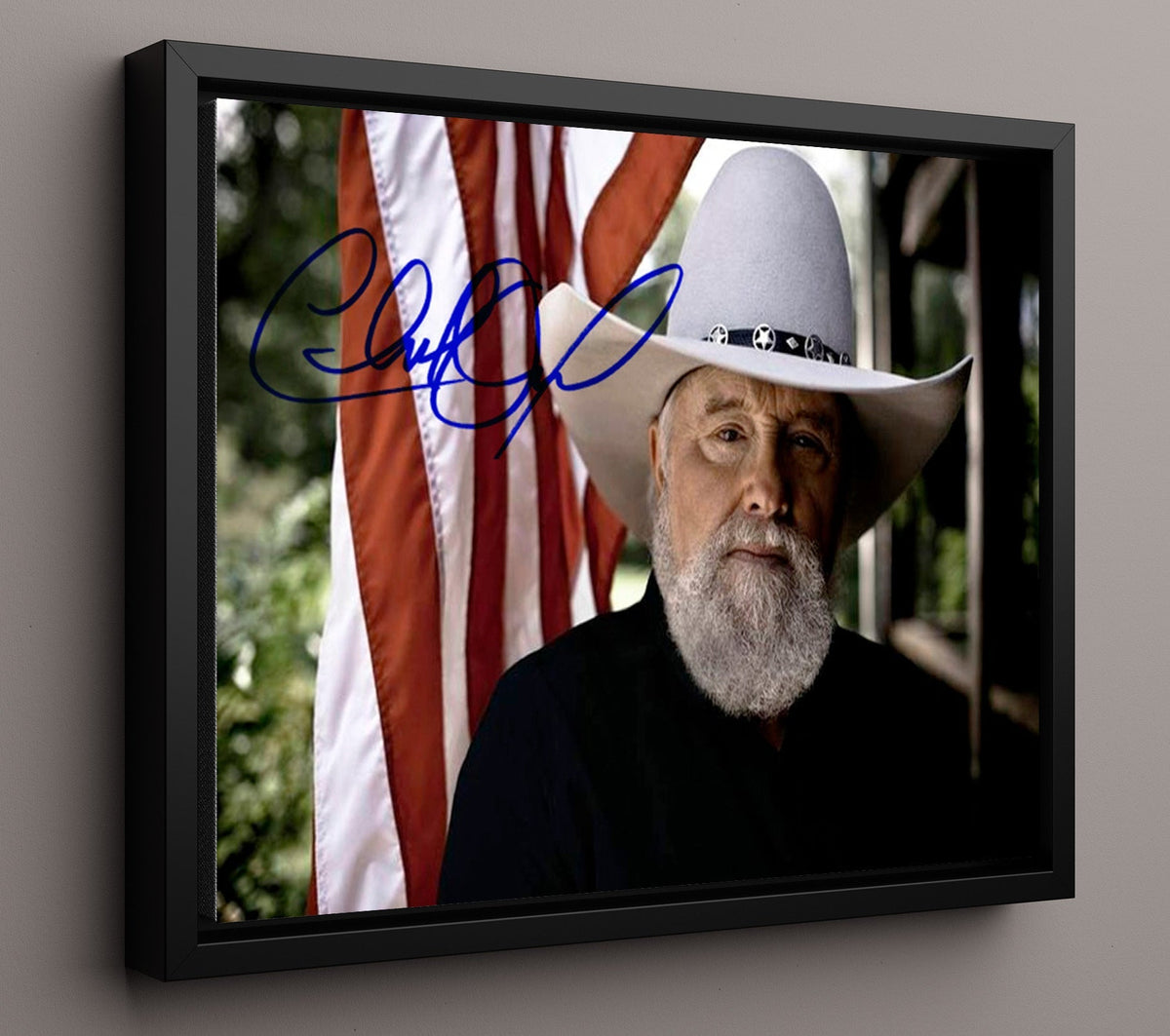 Charlie Daniels - Southern Fiddle Spirit 8x10 Unframed Print vintage music wall art
