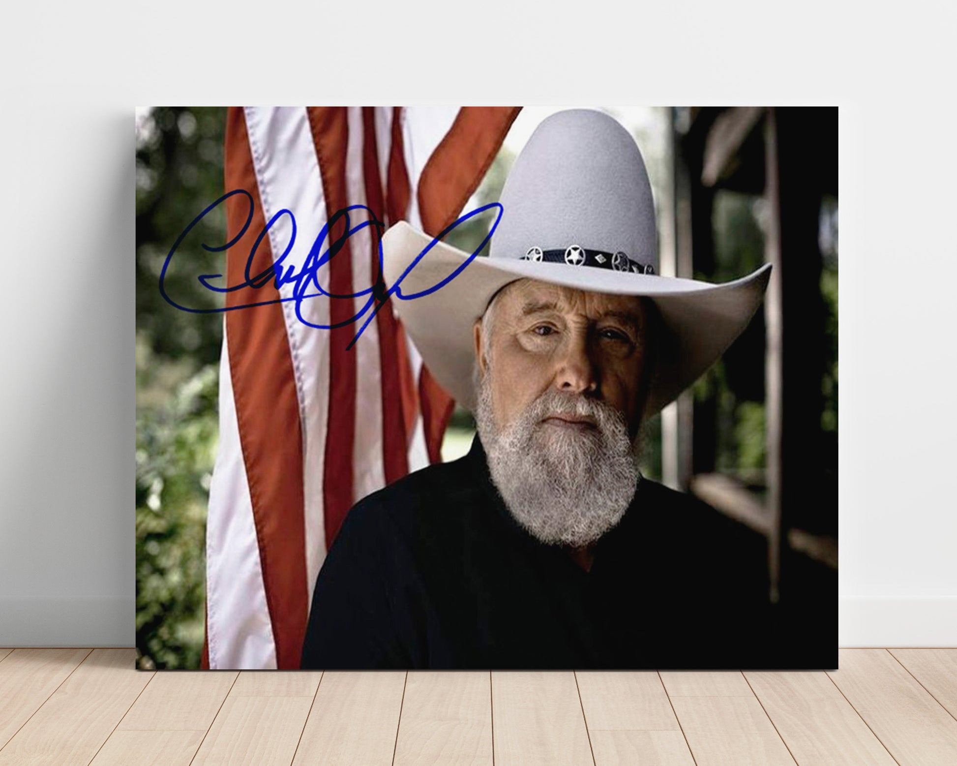 Charlie Daniels - Southern Fiddle Spirit - Vintage Music Wall Art - 16x20 Unframed Print music decor