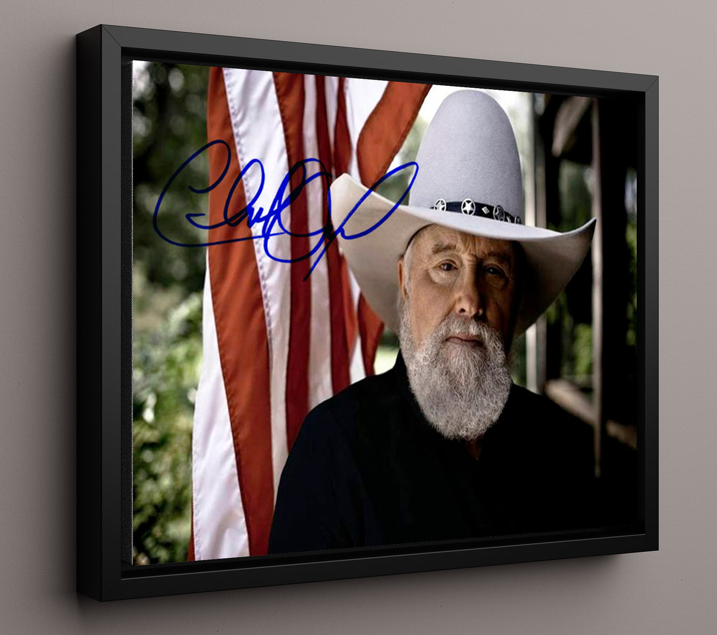 Charlie Daniels - Southern Fiddle Spirit - Vintage Music Wall Art - 16x20 Framed Canvas music decor