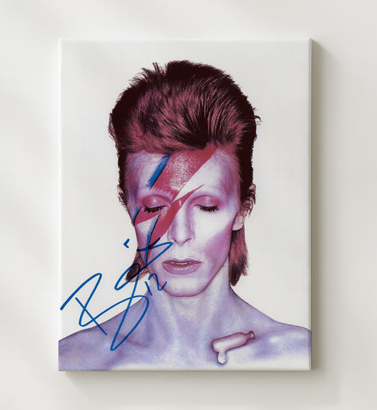 David Bowie - Ziggy Stardust Forever 16x20 Gallery Frame vintage music wall art