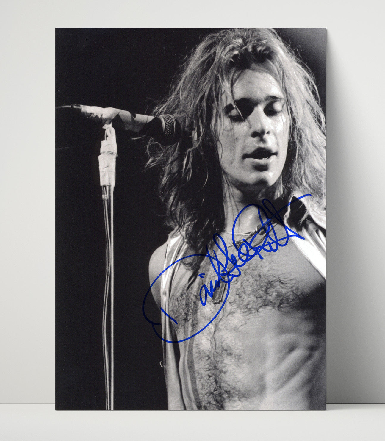 David Lee Roth - Mic and Mane Music Wall Art 16x20 Unframed Print wall art print – Music decor
