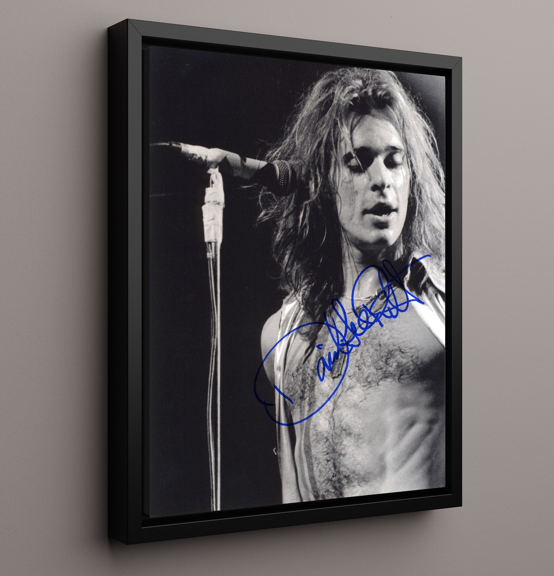 David Lee Roth - Mic and Mane - Vintage Music Wall Art - 16x20 Framed Canvas music decor