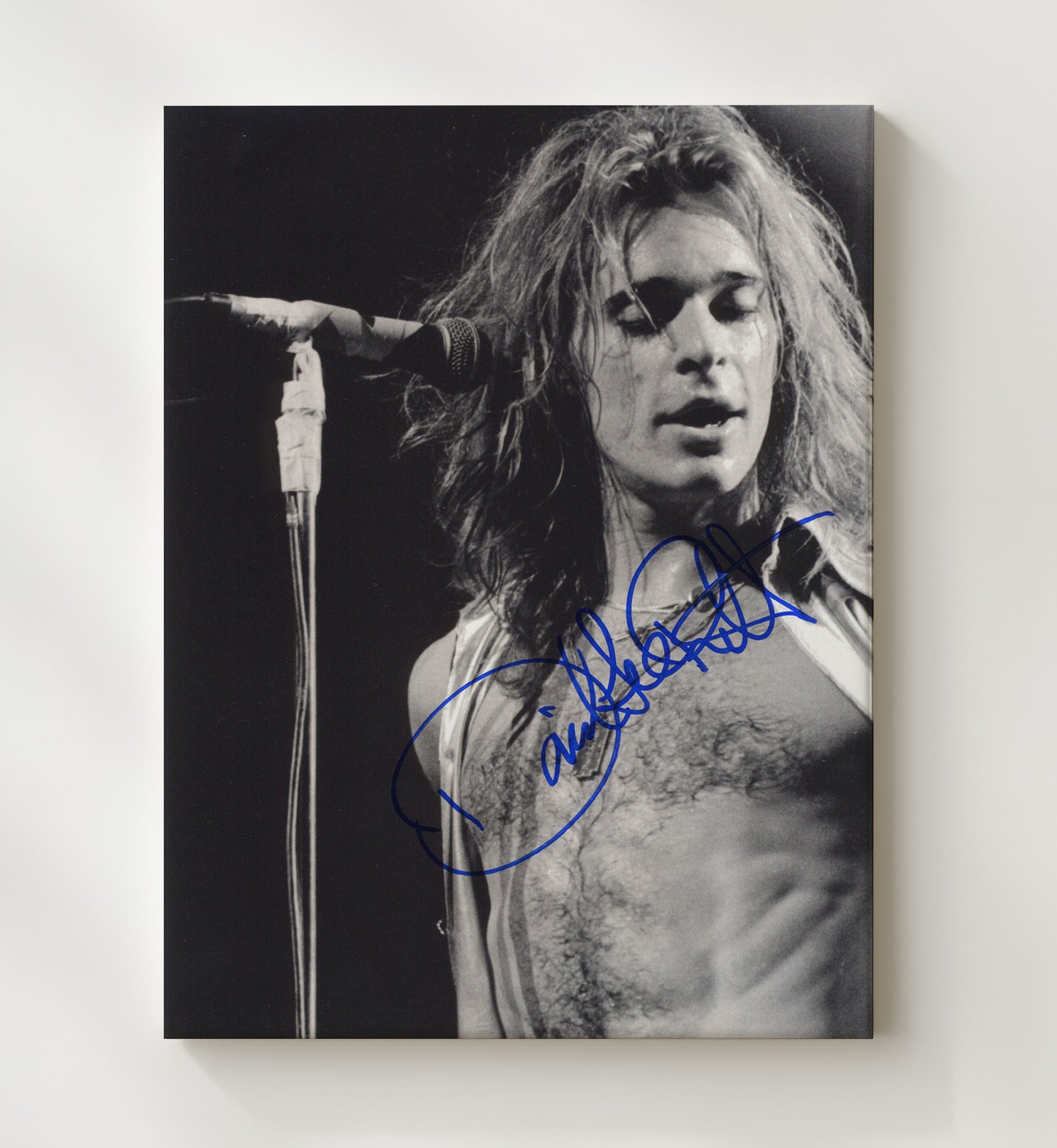 David Lee Roth - Mic and Mane - Vintage Music Wall Art - 20x24 Canvas music decor