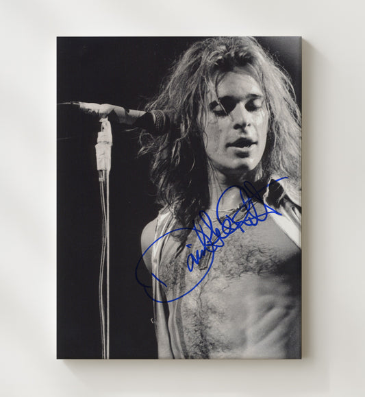 David Lee Roth - Mic and Mane 16x20 Gallery Frame vintage music wall art