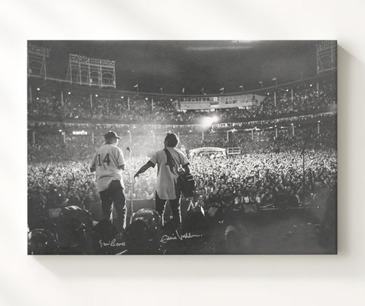 Eddie Vedder - Wrigley Field Serenade 16x20 Gallery Frame vintage music wall art
