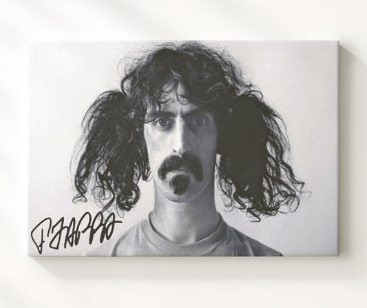 Frank Zappa - Wild Hair and Wilder Genius 16x20 Gallery Frame vintage music wall art