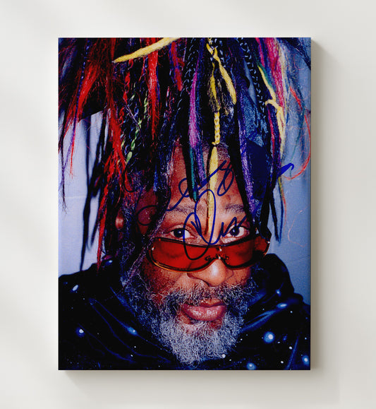 George Clinton - Funk Legend Colorful Braids Photo 16x20 Gallery Frame vintage music wall art