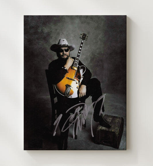 Hank Williams Jr. - Cowboy Hat With Guitar Studio Photo 16x20 Gallery Frame vintage music wall art