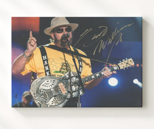 Hank Williams Jr. - Southern Outlaw Sound 16x20 Gallery Frame vintage music wall art
