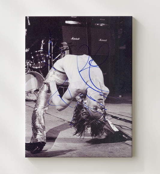 Iggy Pop - Live Stage Backbend Performance Photo 16x20 Gallery Frame vintage music wall art