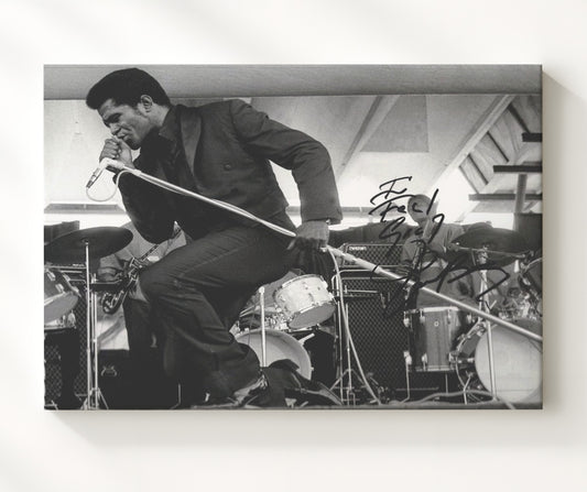 James Brown - Feeling Good on One Knee 16x20 Gallery Frame vintage music wall art