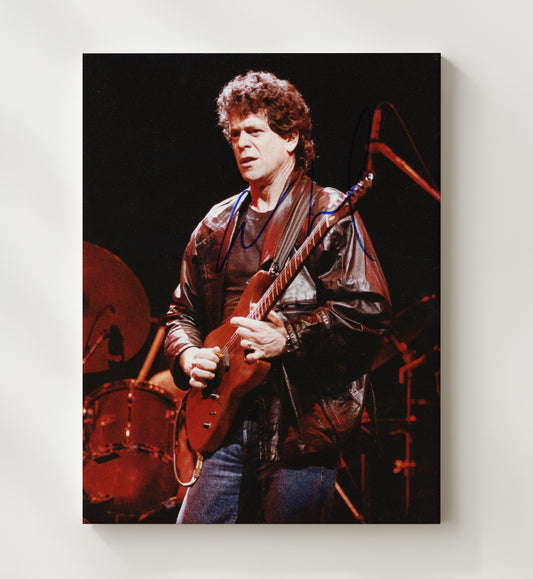 Lou Reed - Live Stage Performance Leather Jacket 16x20 Gallery Frame vintage music wall art