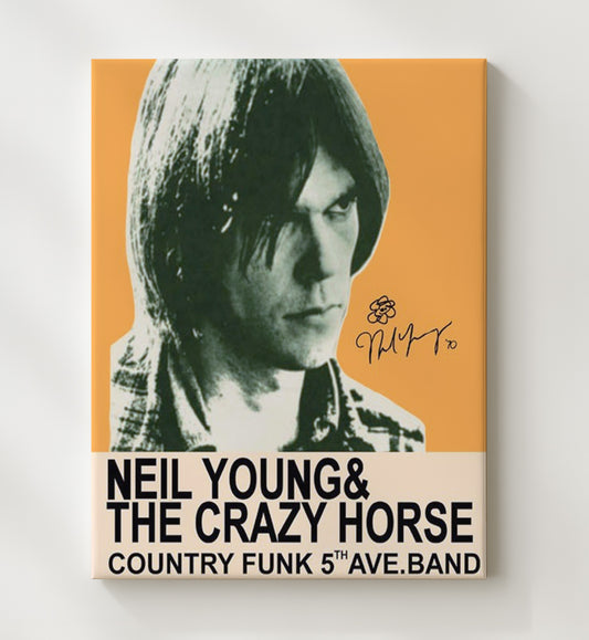 Neil Young - Country Funk Promo Artwork 16x20 Gallery Frame vintage music wall art
