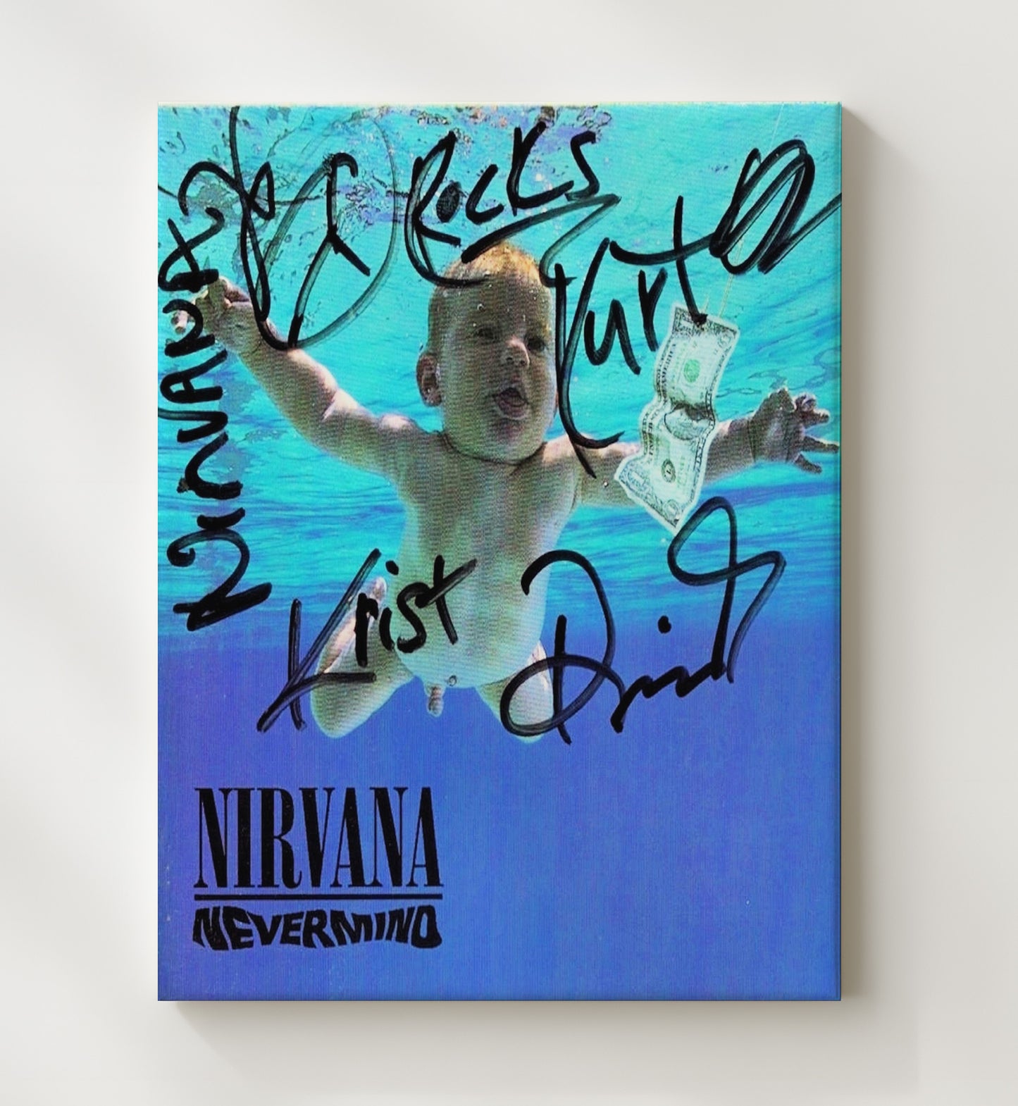 Nirvana - Nevermind Cover Artwork - Vintage Music Wall Art - 20x24 Canvas music decor
