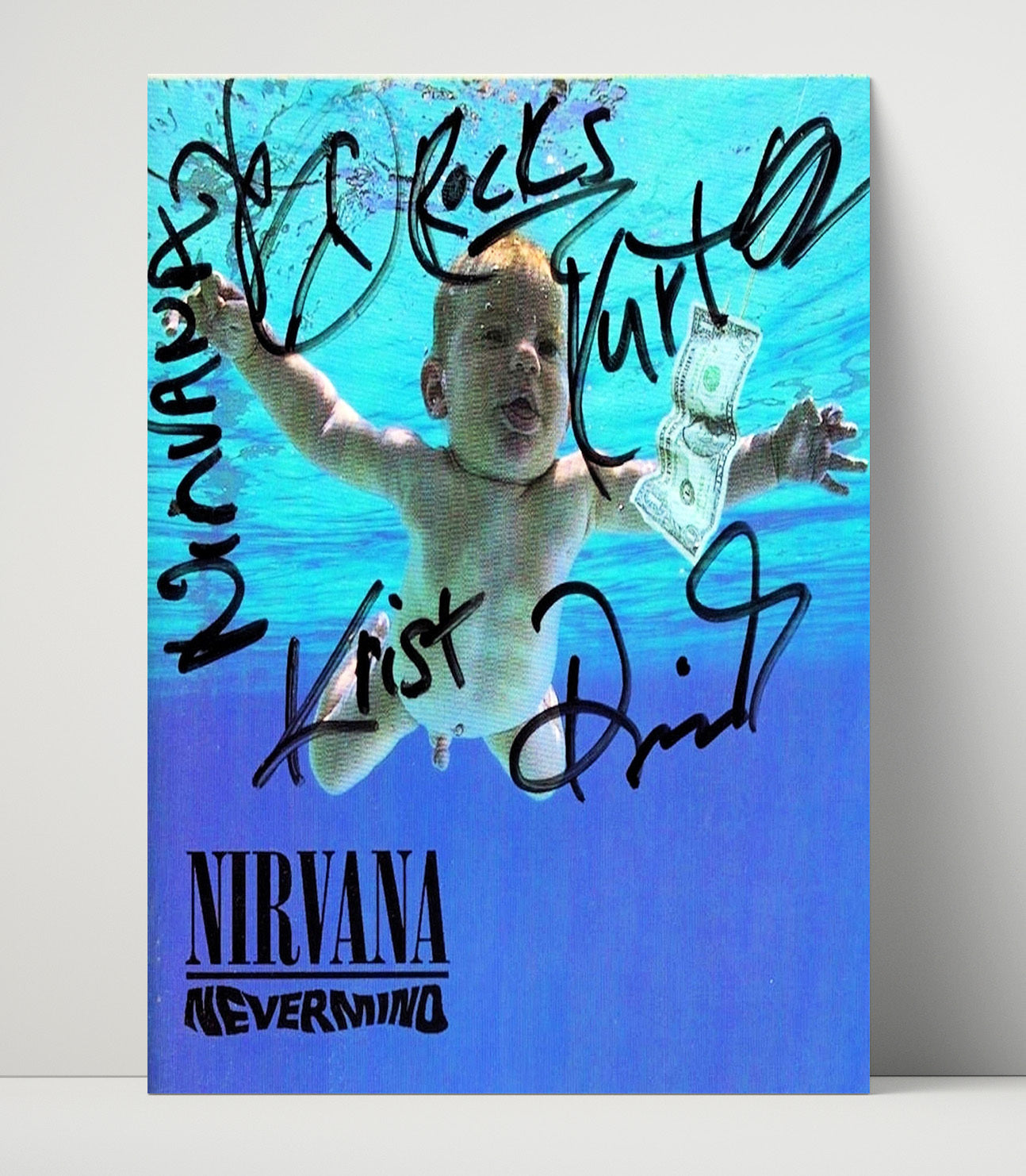Nirvana - Nevermind Cover Artwork Music Wall Art 16x20 Unframed Print wall art print – Music decor