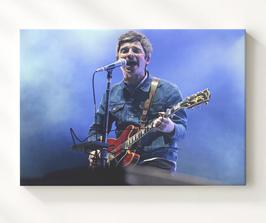Noel Gallagher - Live Guitar Vocal Performance Blue Stage 16x20 Gallery Frame vintage music wall art