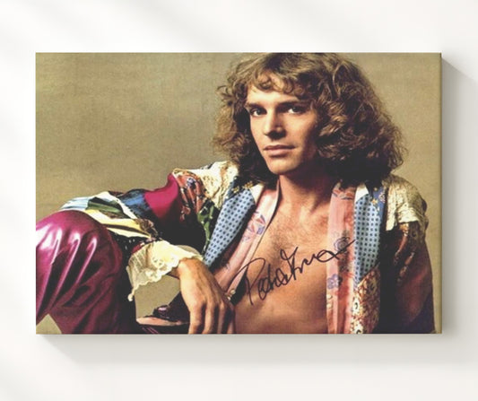 Peter Frampton - Classic Comes Alive Legacy Photo 16x20 Gallery Frame vintage music wall art