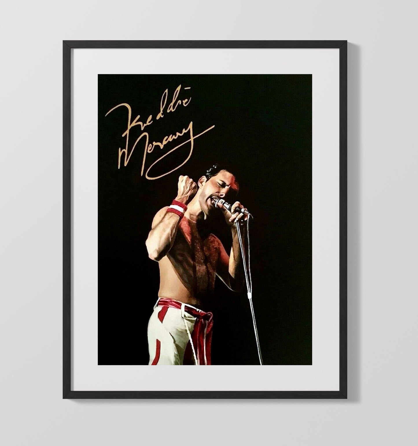 Queen - Freddie Mercury Live Microphone Performance - Vintage Music Wall Art - 16x20 Gallery Frame music decor
