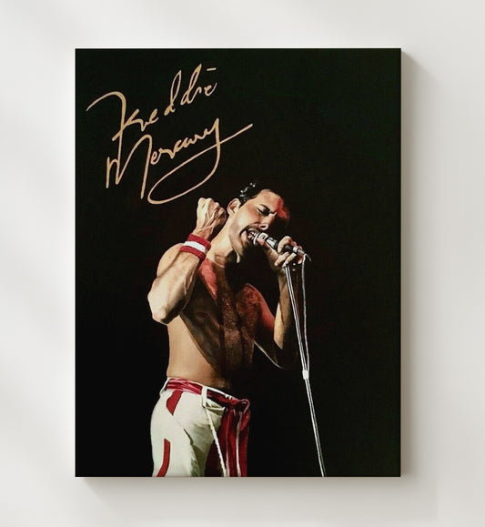 Queen - Freddie Mercury Live Microphone Performance 16x20 Gallery Frame vintage music wall art