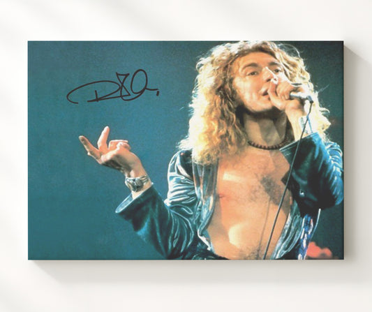 Robert Plant - Immigrant Song 16x20 Gallery Frame vintage music wall art