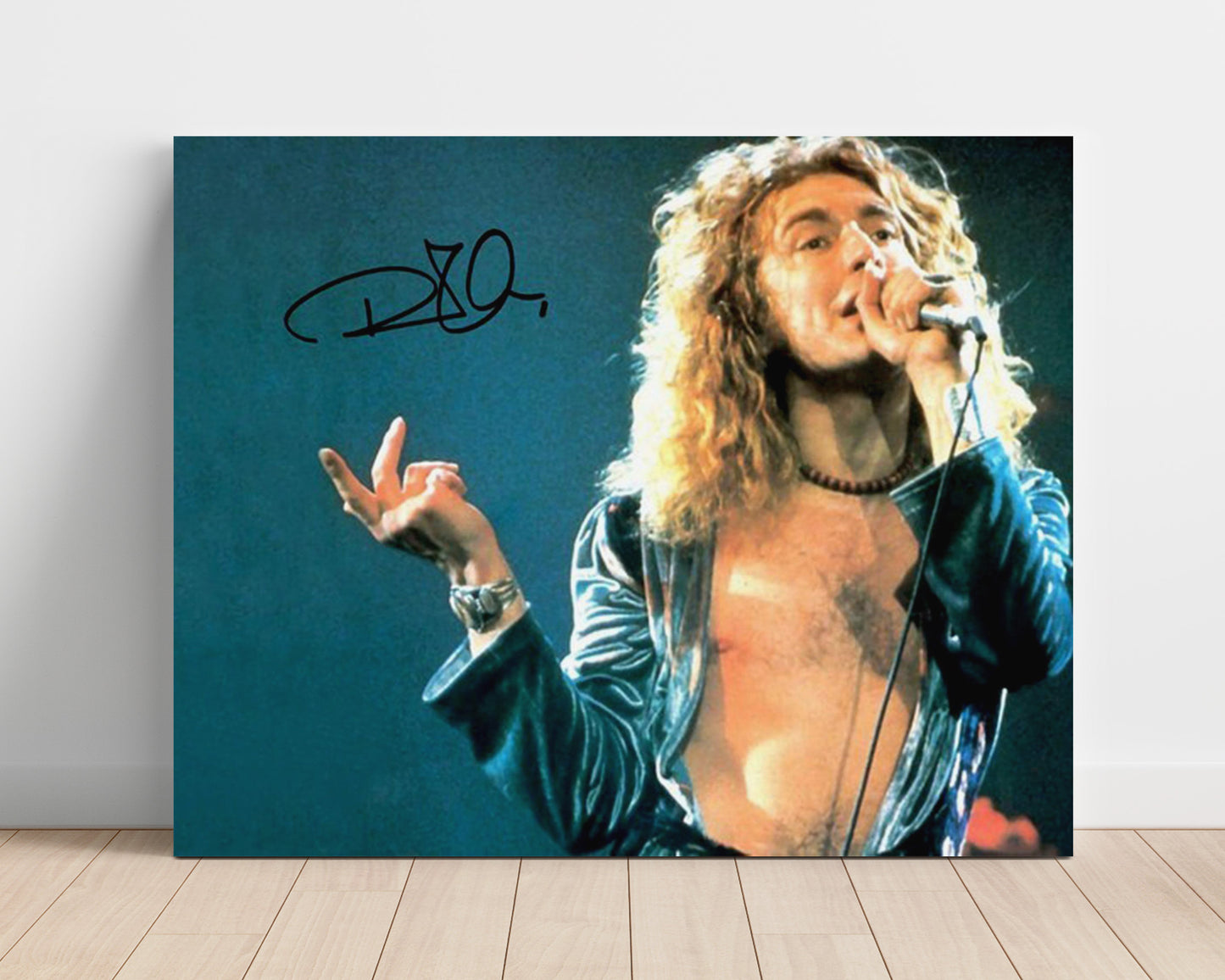 Robert Plant - Immigrant Song - Vintage Music Wall Art - 16x20 Unframed Print music decor