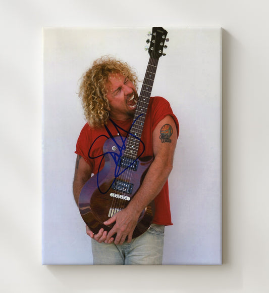 Sammy Hagar - Guitar Bite Performance Pose 16x20 Gallery Frame vintage music wall art