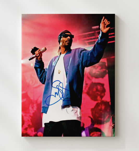 Snoop Dogg - Live Stage Performance 16x20 Gallery Frame vintage music wall art